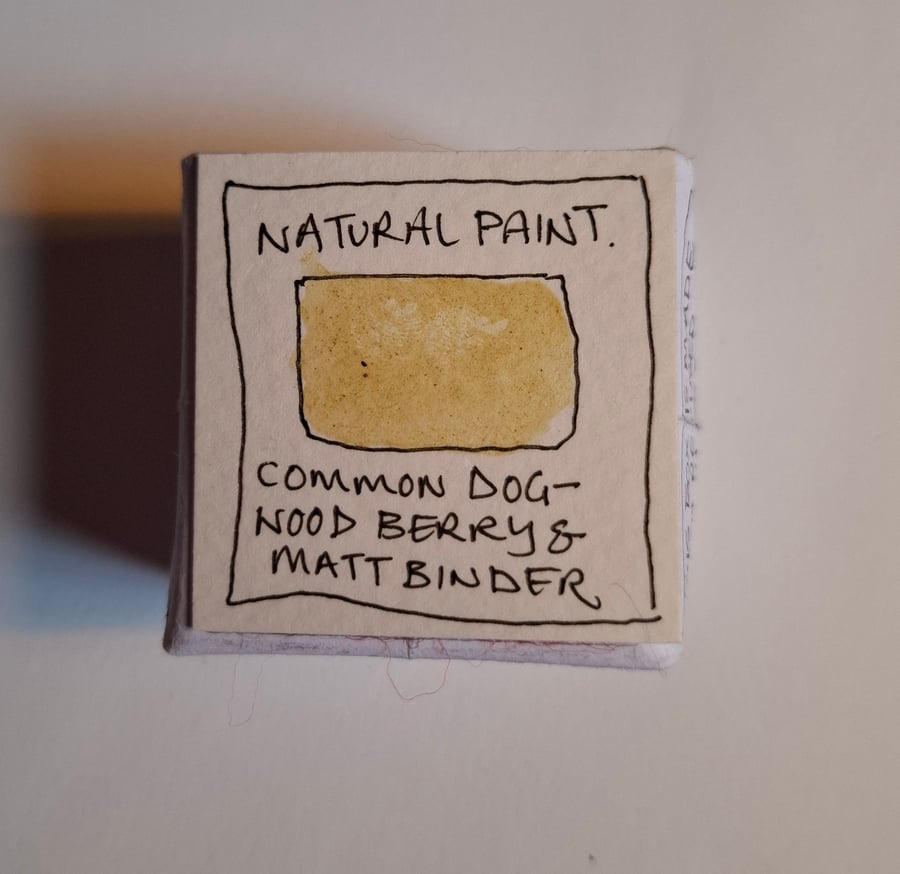 Pot of Natural Hand Made Watercolour paint. Dogwood Berry. Brownish Yellow