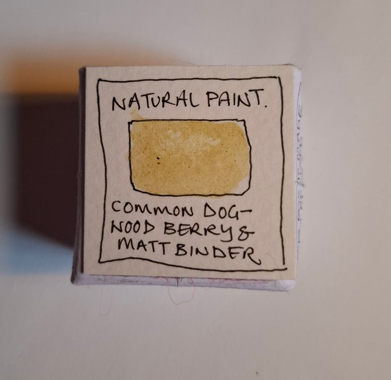 Pot of Natural Hand Made Watercolour paint. Dogwood Berry. Brownish Yellow