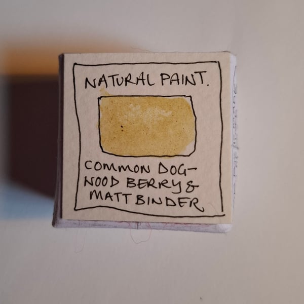 Pot of Natural Hand Made Watercolour paint. Dogwood Berry. Brownish Yellow