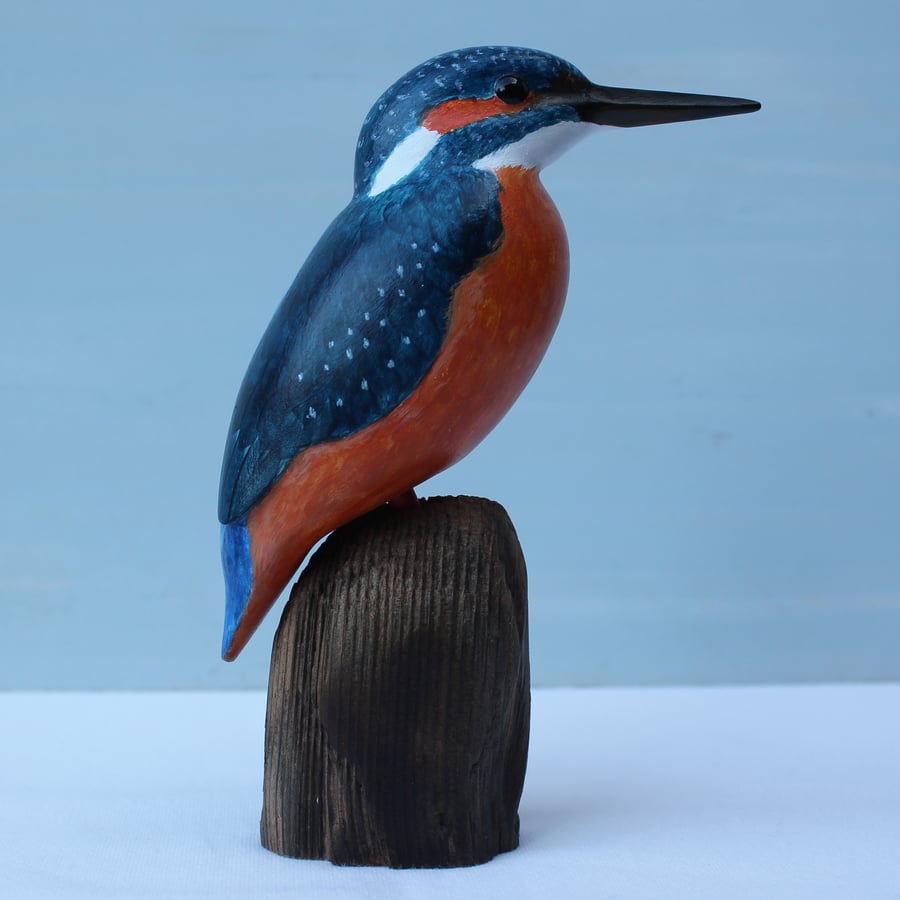 Kingfisher