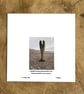Croc; greetings card, blank inside, printed on card and photographic paper - Image 4