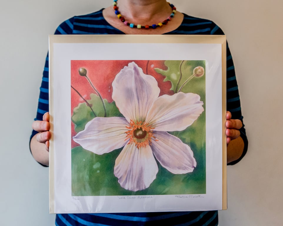 White Flower Art Print - Wild Swan Anemone, retro style, Georgia O'Keefe style 