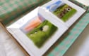 Needle felted Cards