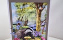 Any occasion cards