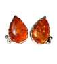Handmade Baltic Amber Teardrop Stud Earrings in Fine Silver & Sterling Silver - Image 1
