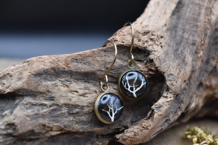 Hypoallergenic Real Lichen Resin Earrings, Titanium Ear Hooks, Black