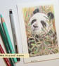 Little panda drawing, letterbox art gift, original drawing - Image 9