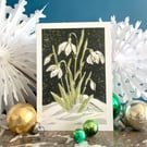 Pack of eight 'Spring is Coming' greeting cards