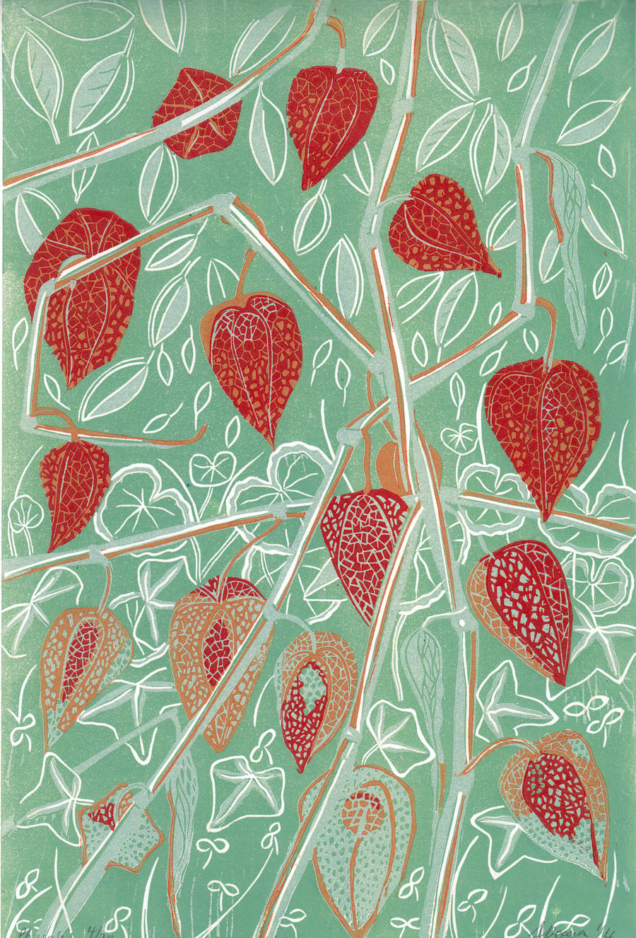 Physalis LINO PRINT CHINESE LANTERNS