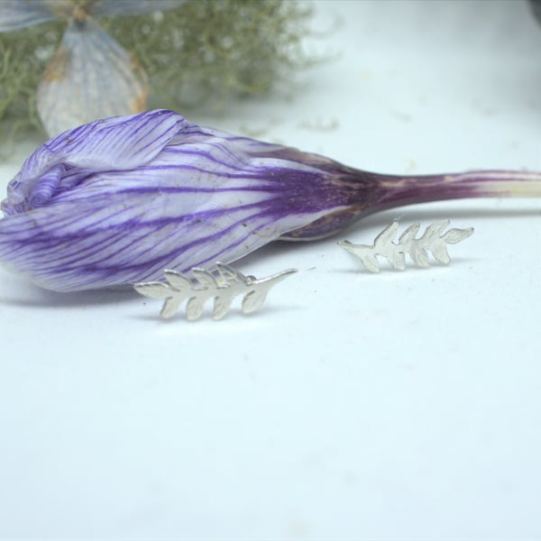 Eco Silver Rowan Tree Ear Climbers