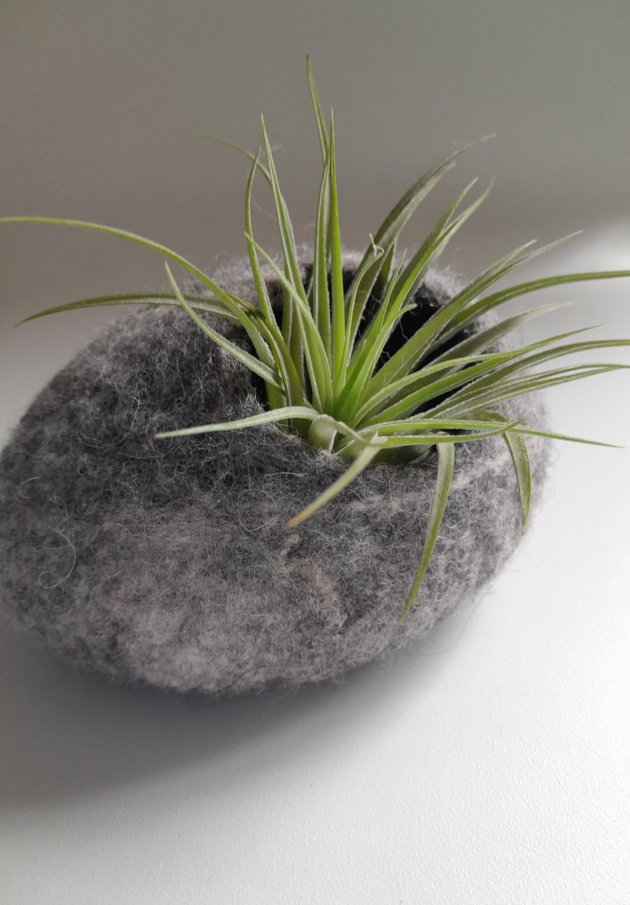 Felted 'Pebble'  Vessel for Airplant