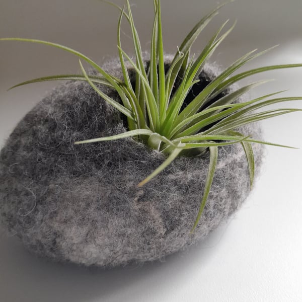 Felted 'Pebble'  Vessel for Airplant