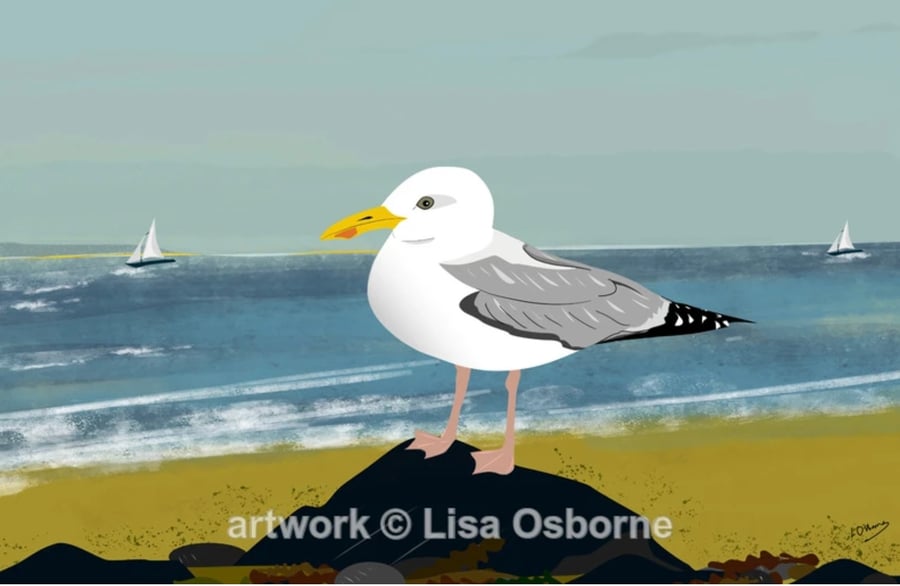 Gull on the beach - signed A5 print from illustration