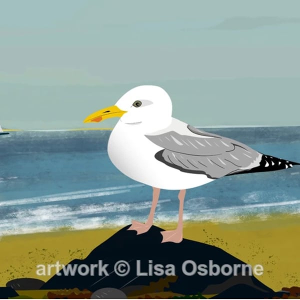 Gull on the beach - signed A5 print from illustration
