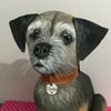 Border Terrier Keepsake 