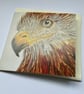 Red Kite  - Image 2
