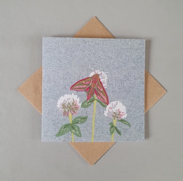 Elephant Hawk Moth card, blank cards, thinking of you