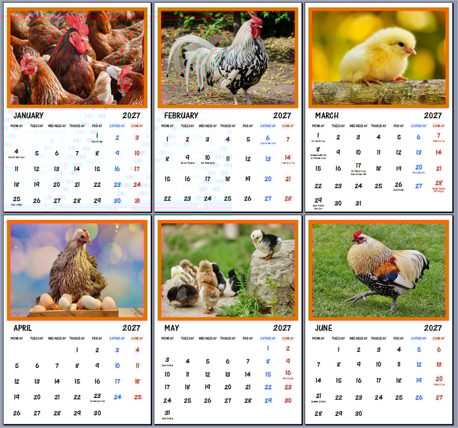 2027 Calendar Chickens A4 Page Per Month 