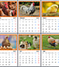 2027 Calendar Chickens A4 Page Per Month 