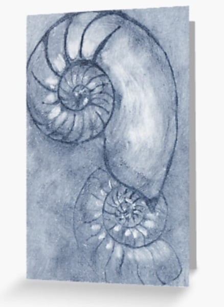 Duet ammonite fossil card modern artist card jurassic coast
