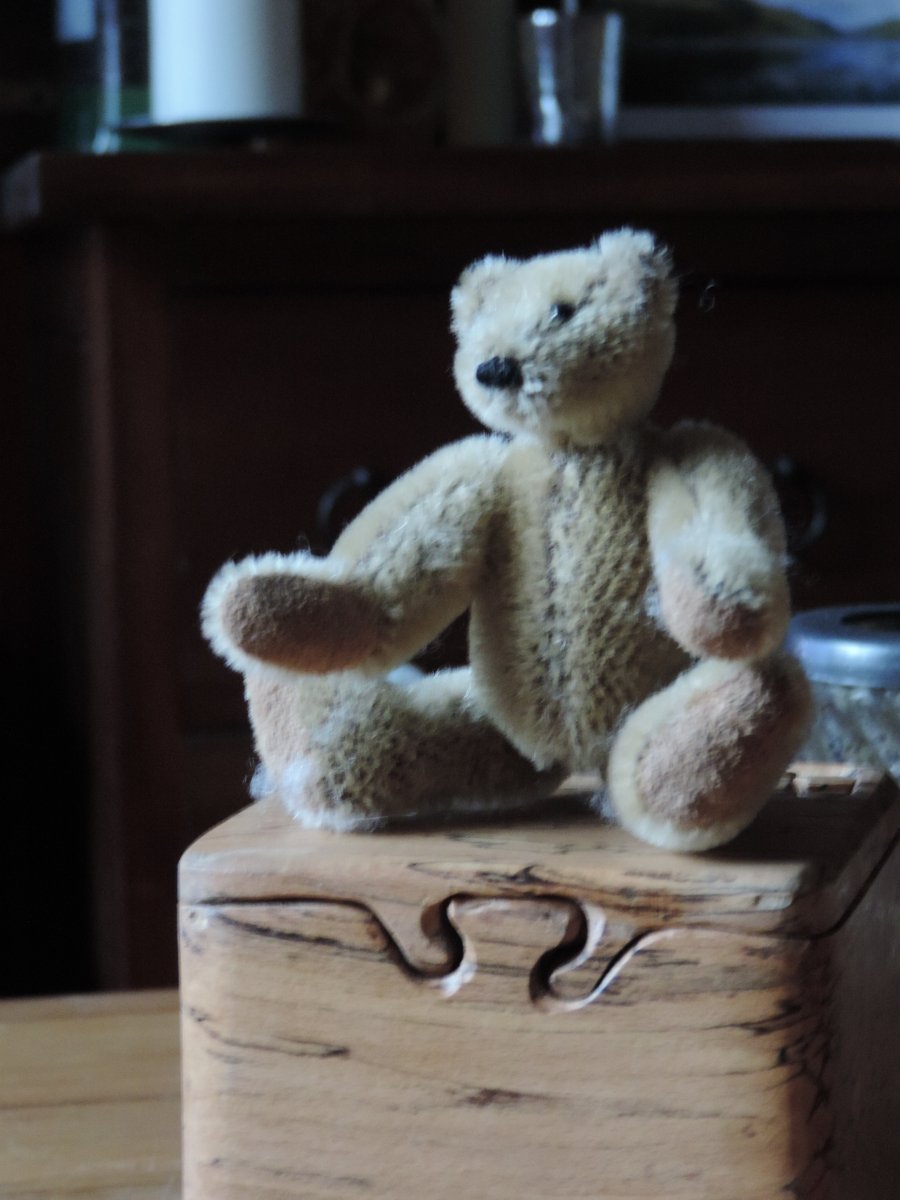 4.5" Collectors Mohair Teddy Bear