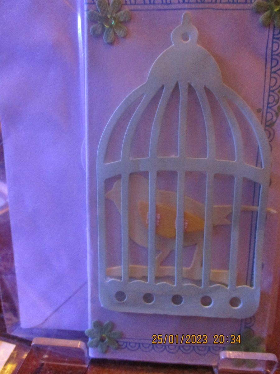 Bird in a Bird Cage Small Card