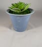 Blue Ceramic Small Container Artificial Succulent Plant Ornament Decoration. - Image 3