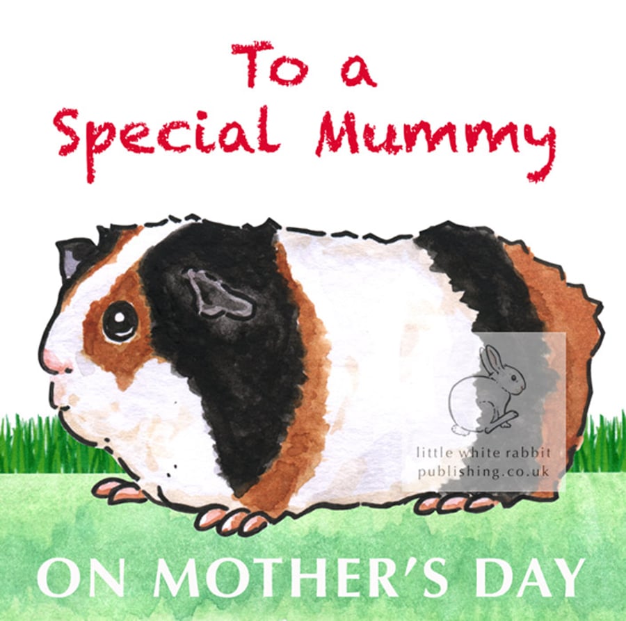 Ozzie the Guinea Pig - Mother's Day Card
