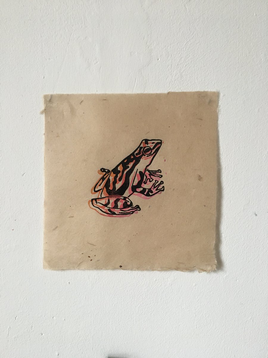 Poison Dart Frog, limited edition linocut print on handmade paper.