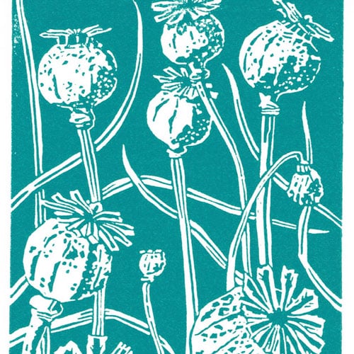 Poppy Seedhead in dark cyan - Linocut Print