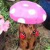 Ladybirds on Pink Toadstool