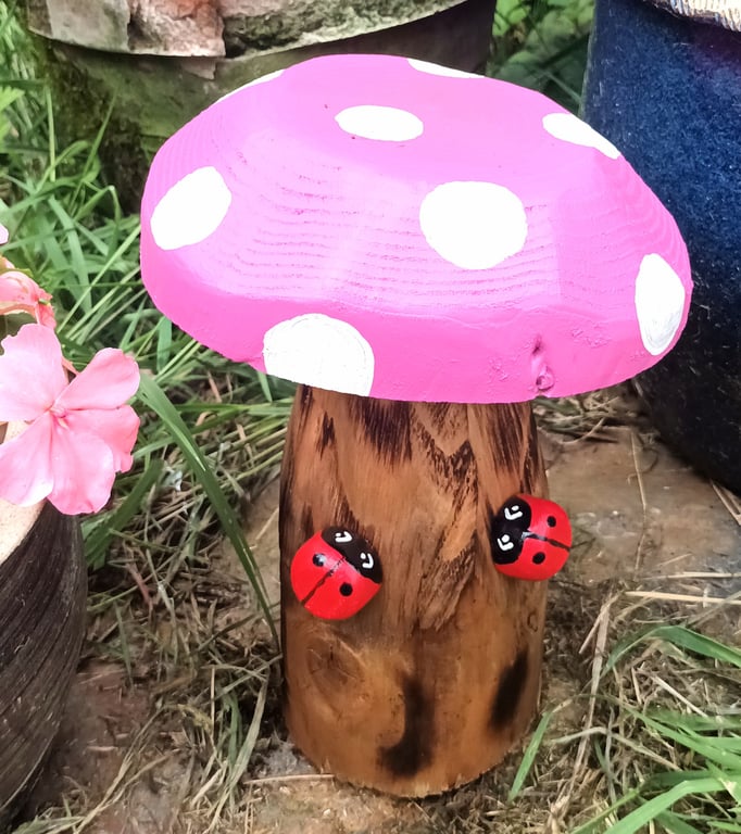 Ladybirds on Pink Toadstool