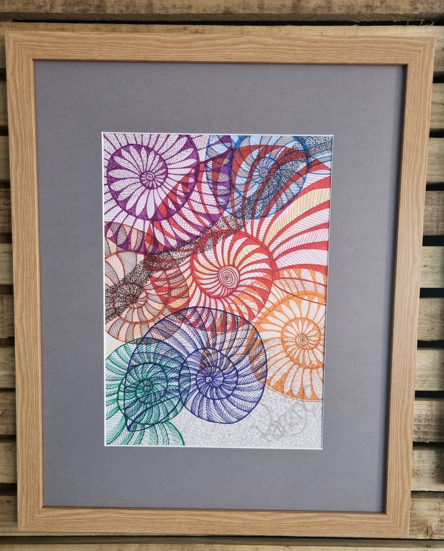 An Abundance of Ammonites