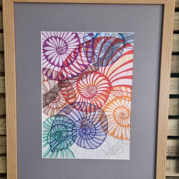 An Abundance of Ammonites