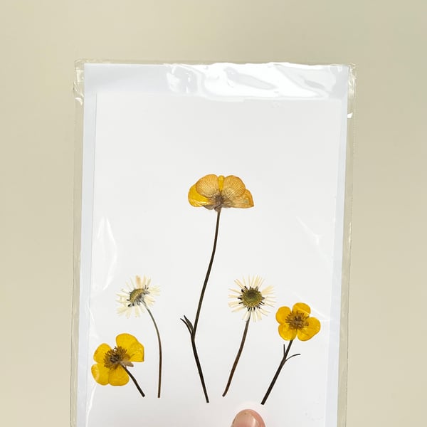 Perfectly Imperfect Real Pressed Flower, Wildflower Handmade Card