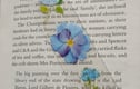 Bookmarks
