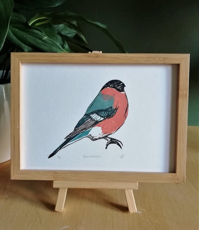 Bullfinch