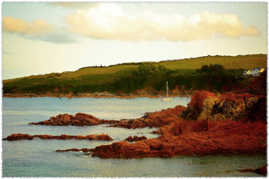 Picture Mevagissey Coast, Print of Mevagissey, Cornwall