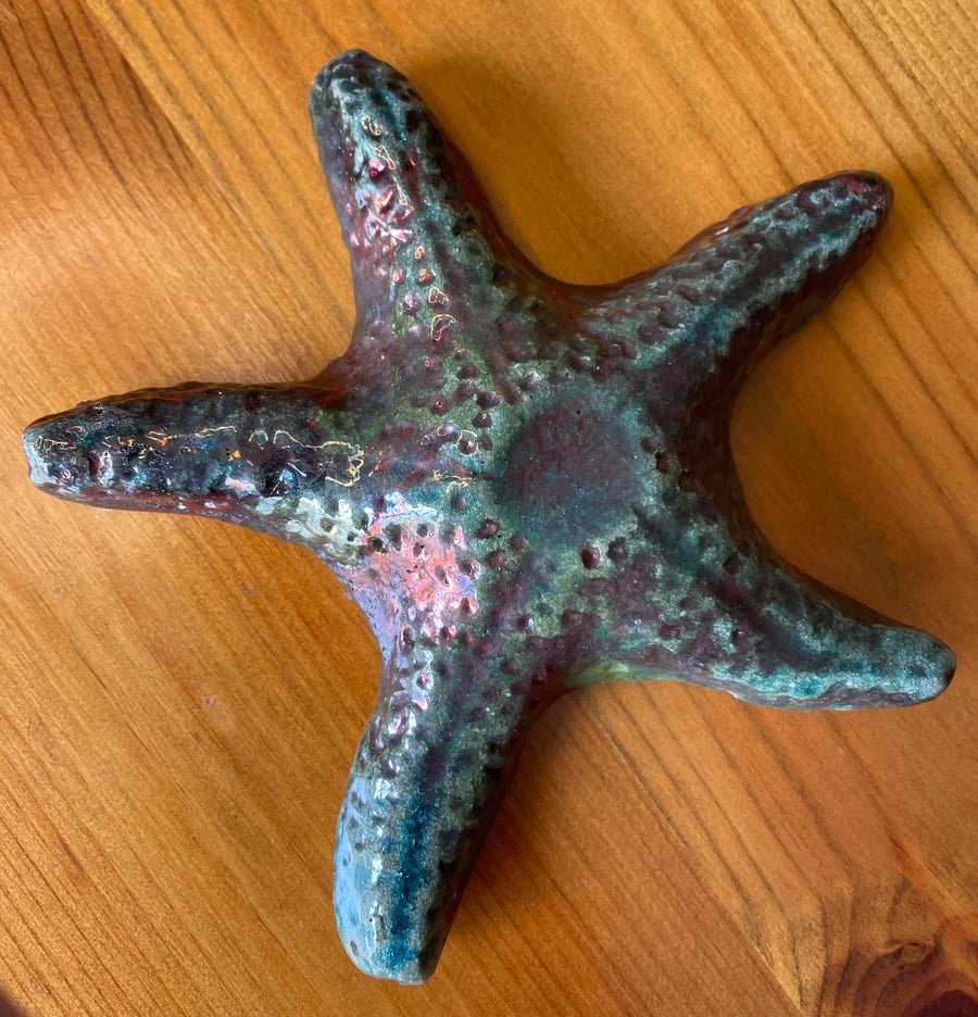 Perfectly Imperfect  - Raku starfish