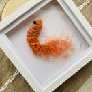 Framed Ghost Net Prawn