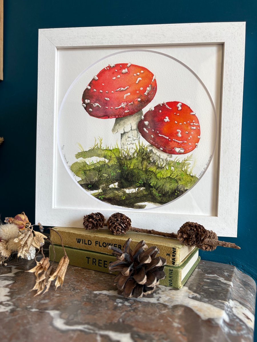 'Amanita Muscaria' mounted & framed limited edition giclée print