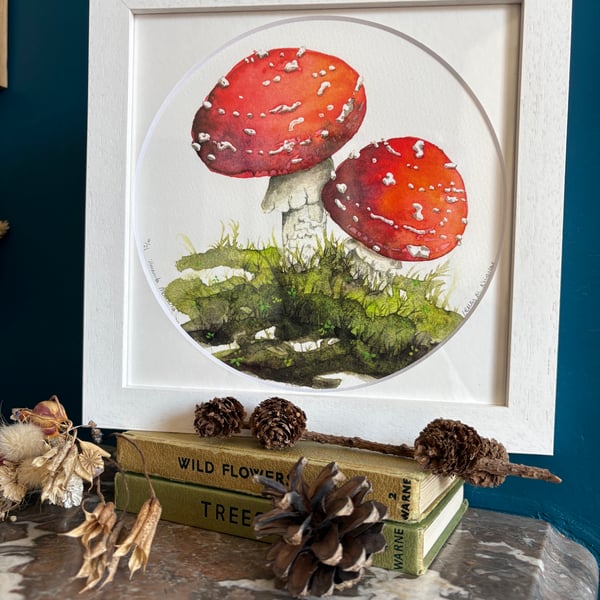 'Amanita Muscaria' mounted & framed limited edition giclée print
