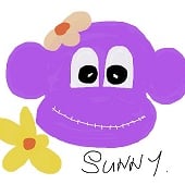 Sunnyteddy  Designs 