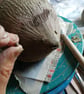 Ceramic Hedgehog sculpture - Image 8