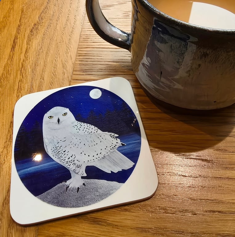 Snowy Owl Coaster