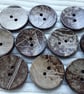 40mm (1 & 6 10") REAL COCONUT Organic Item  - Image 3