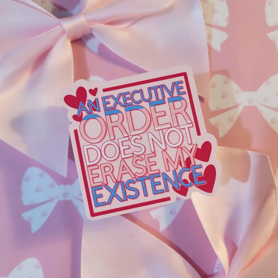 Trans Rights Sticker - Executive Order