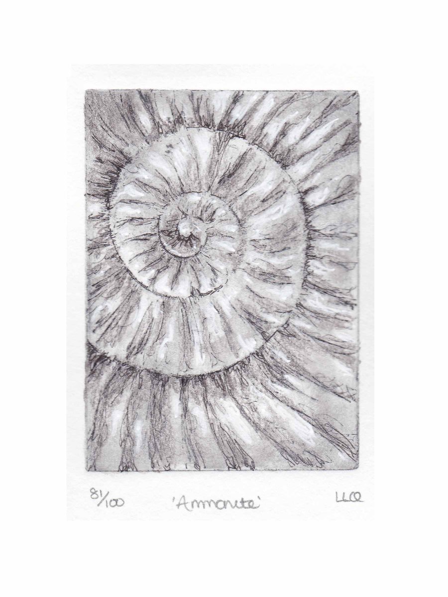Etching no.81 of an ammonite fossil with mixed media in an edition of 100