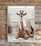 Giraffe with a loo roll in its mouth Bathroom Wall Prints