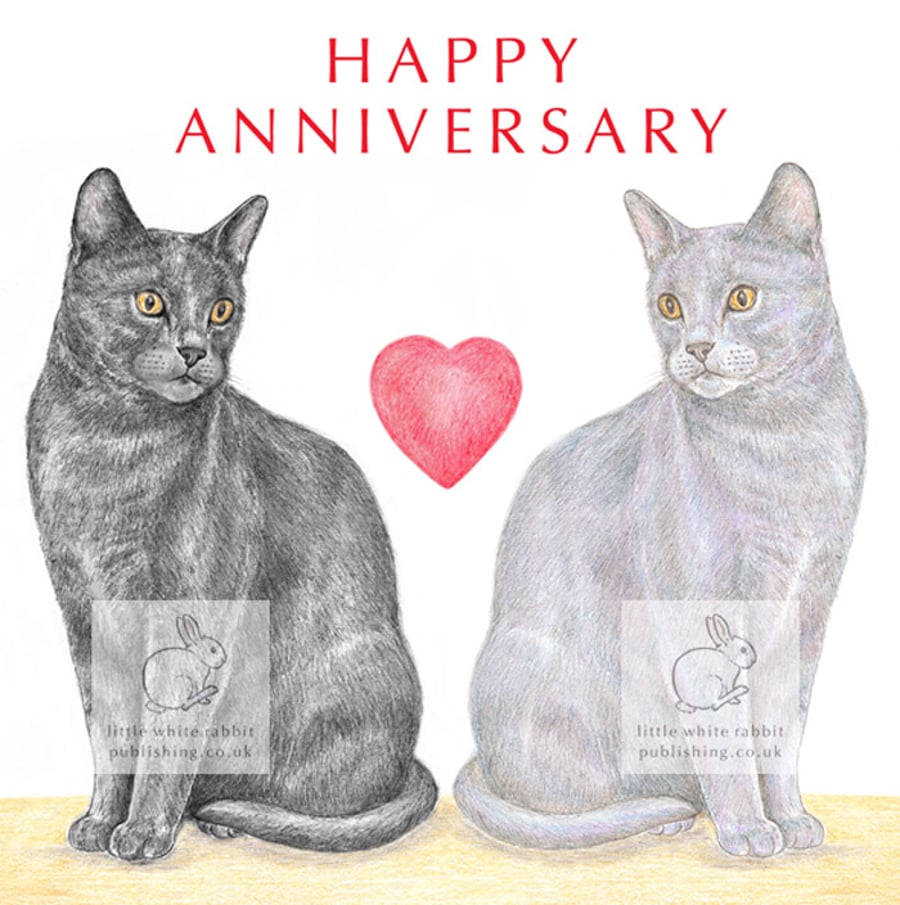 Cat - Anniversary Card